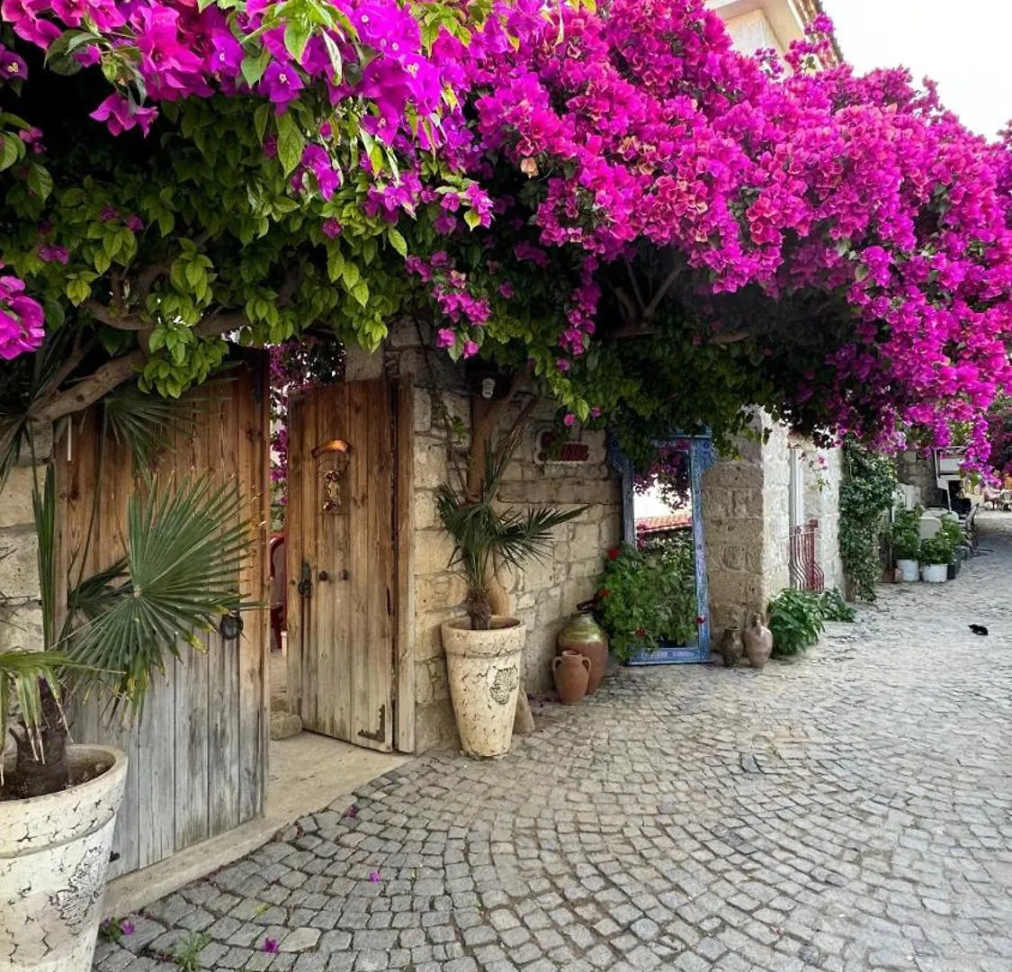 Filizce Alacati İzmir